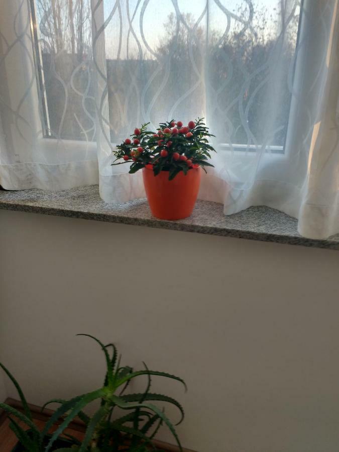 Meridian Apartment , 300M To Bus Terminal, Fast Wifi & Airport Transf Ζάγκρεμπ Εξωτερικό φωτογραφία